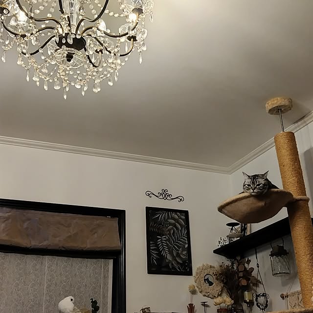 hiro3さんの部屋