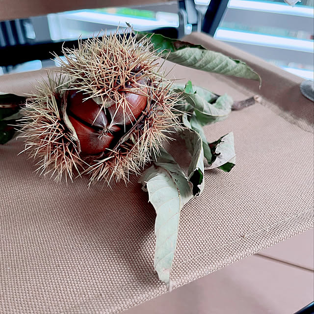 makinaさんの実例写真