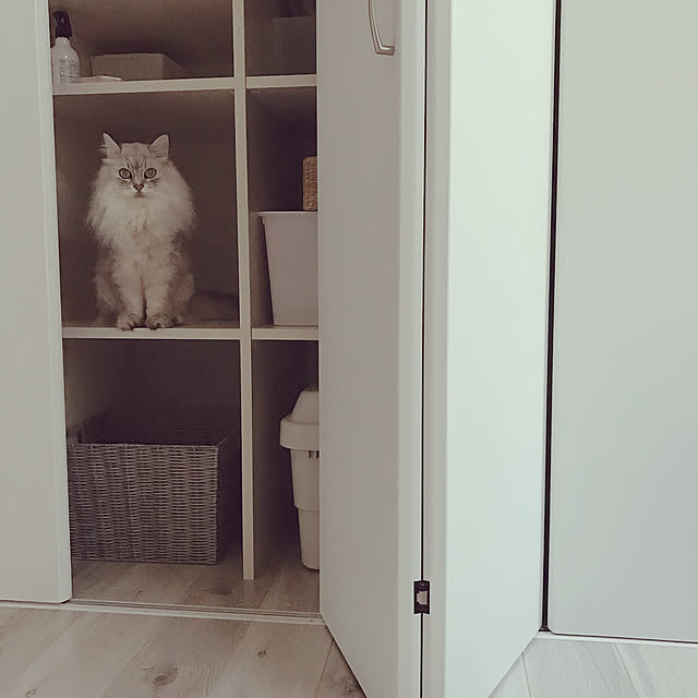 moon.mさんの実例写真