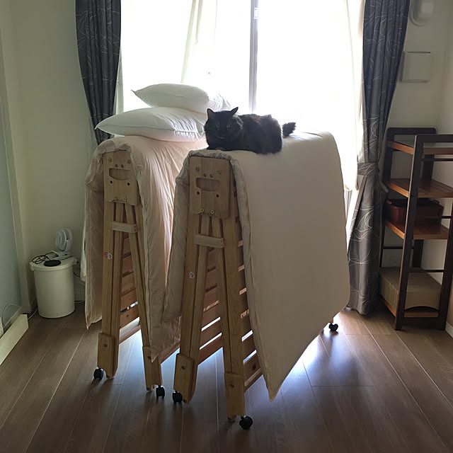 mikomaruさんの実例写真