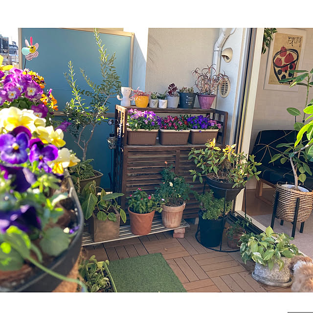 marukoさんの部屋