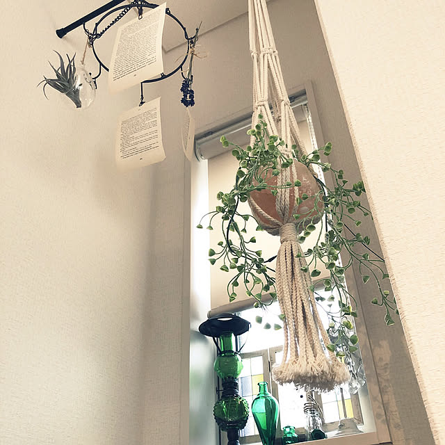 maikoさんの実例写真