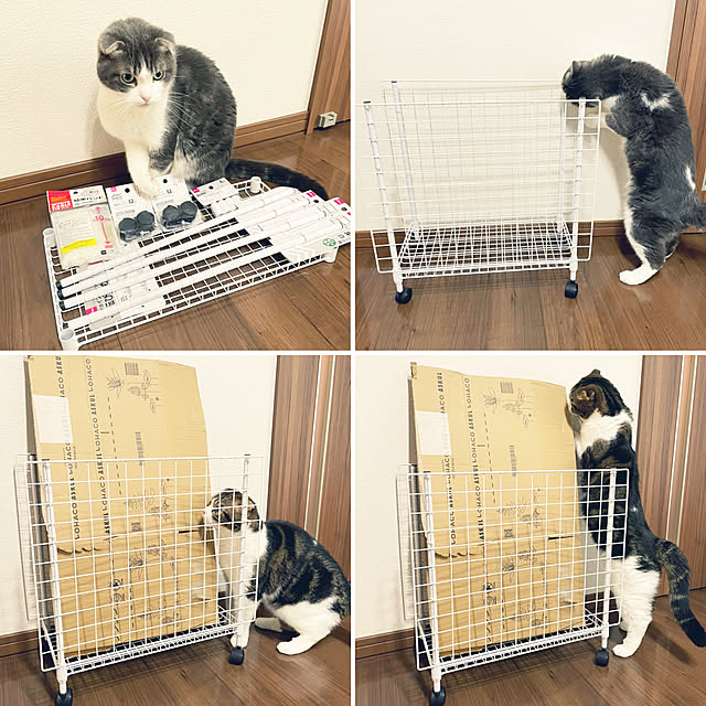 tansukeさんの実例写真
