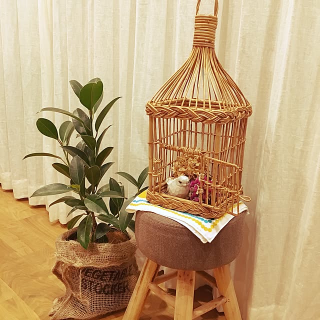 akachanhanaさんの実例写真