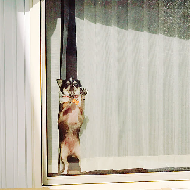 miiさんの実例写真