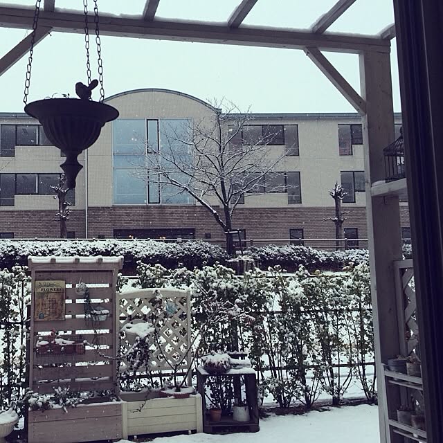 58egaさんの実例写真