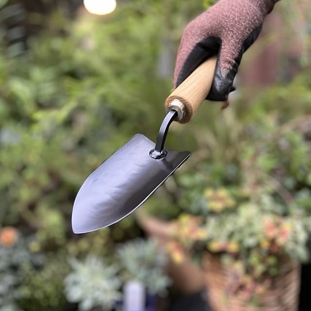 Royal_Gardeners_Clubさんの実例写真