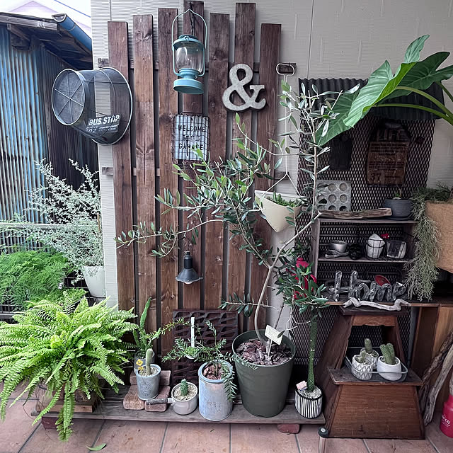 okkunさんの部屋