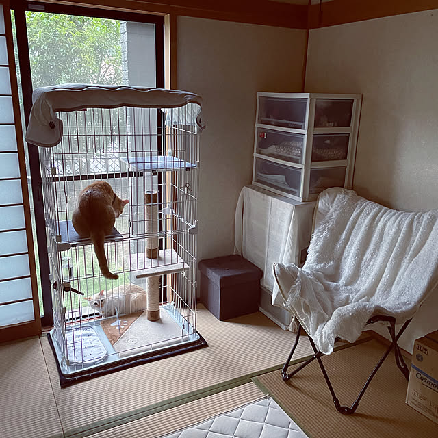 himetanさんの実例写真