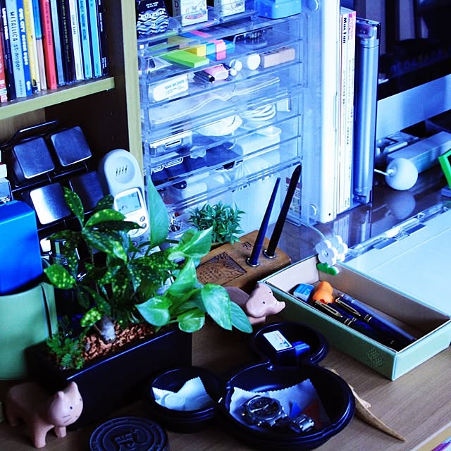 部屋全体/植物のインテリア実例 - 2014-07-24 20:25:57