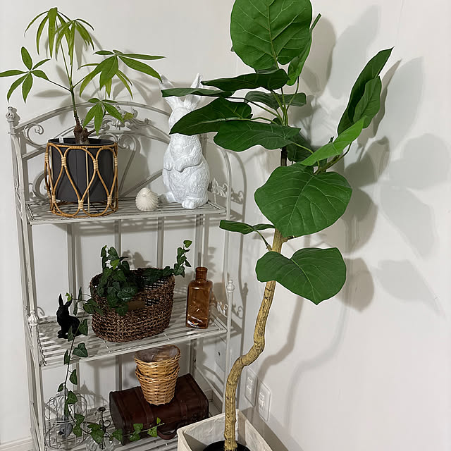 棚/ダイニング/観葉植物/置物/オブジェのインテリア実例 - 2025-05-13 19:51:18
