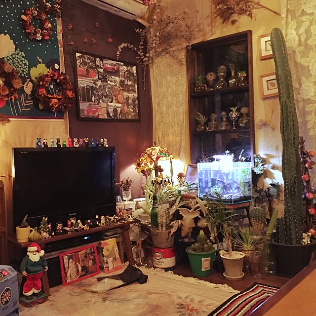 Masahideさんの実例写真