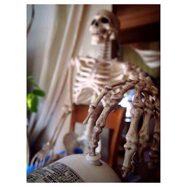 Mayumiさんの実例写真
