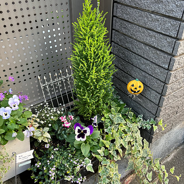 maayaさんの部屋