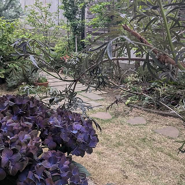 nolleyさんの部屋