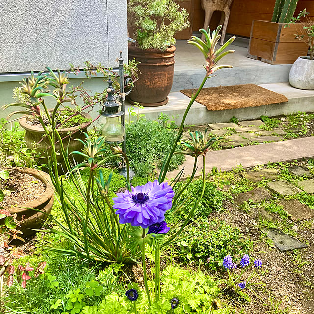 green.green.greenさんの部屋