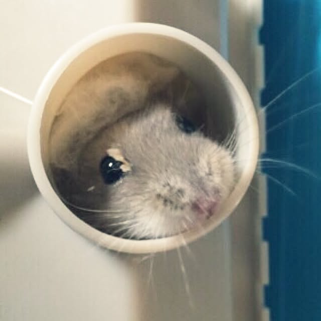 seriaさんの実例写真