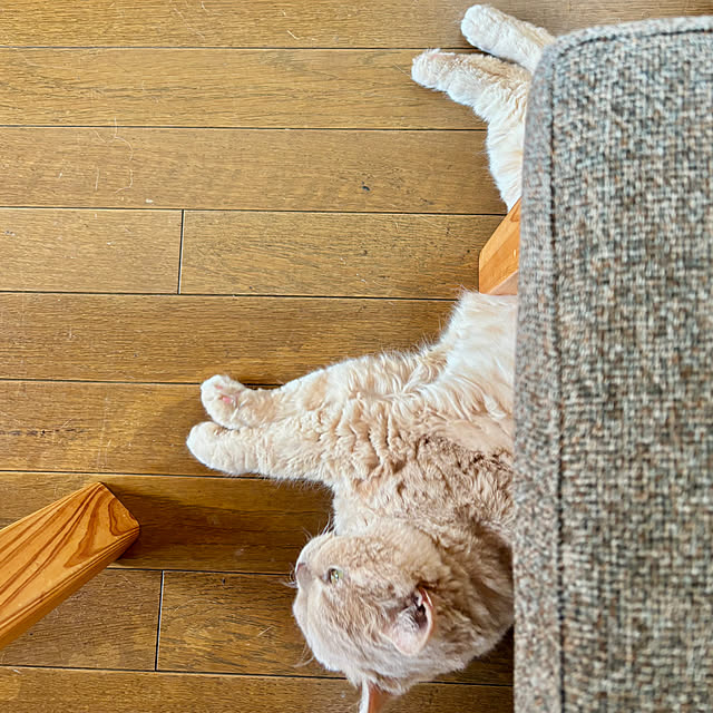 naokoさんの部屋