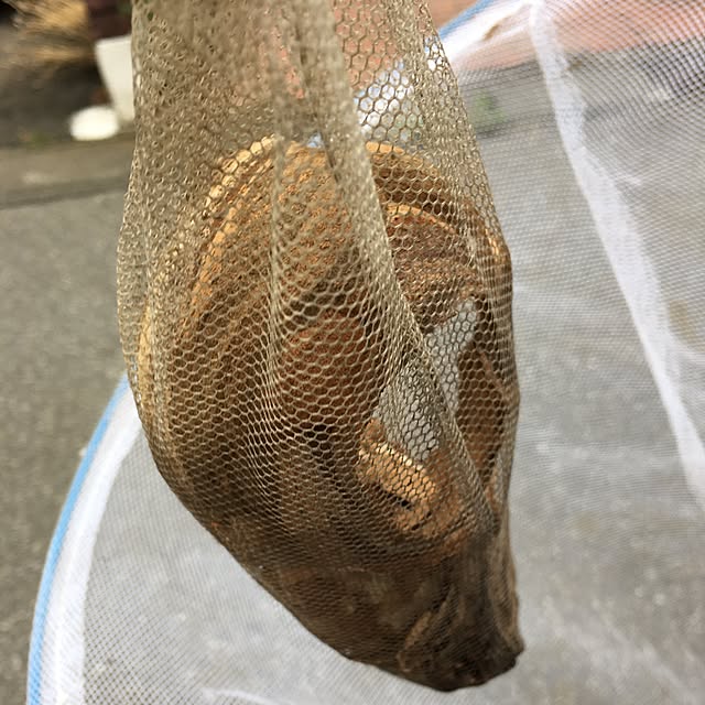 Tuttoさんの実例写真