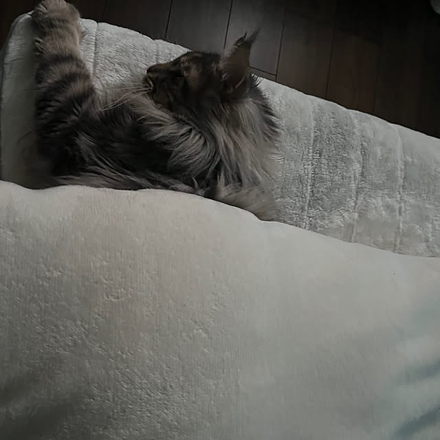 mayumiさんの部屋