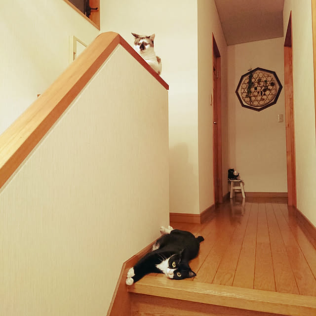 uchizukonyanさんの実例写真