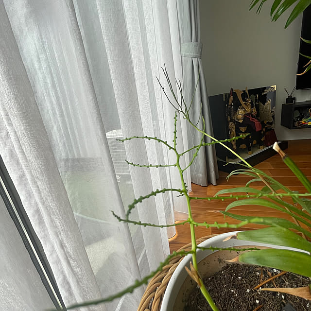 hironさんの部屋