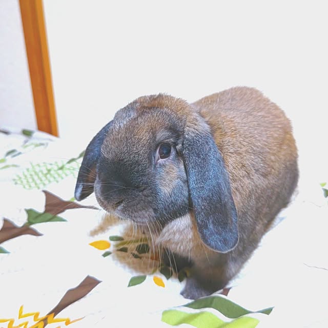 mariaさんの実例写真