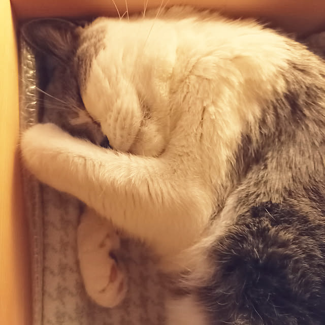 rhuさんの実例写真
