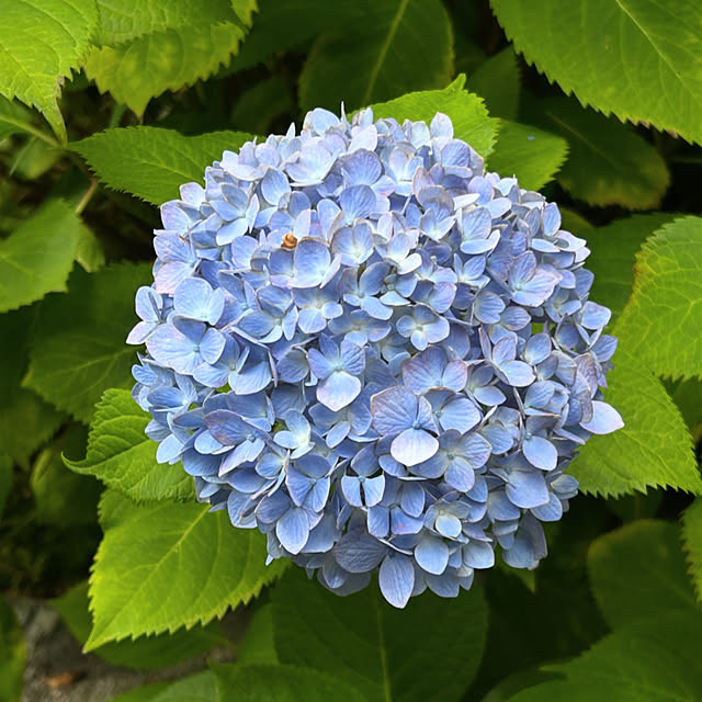 hanaさんの実例写真