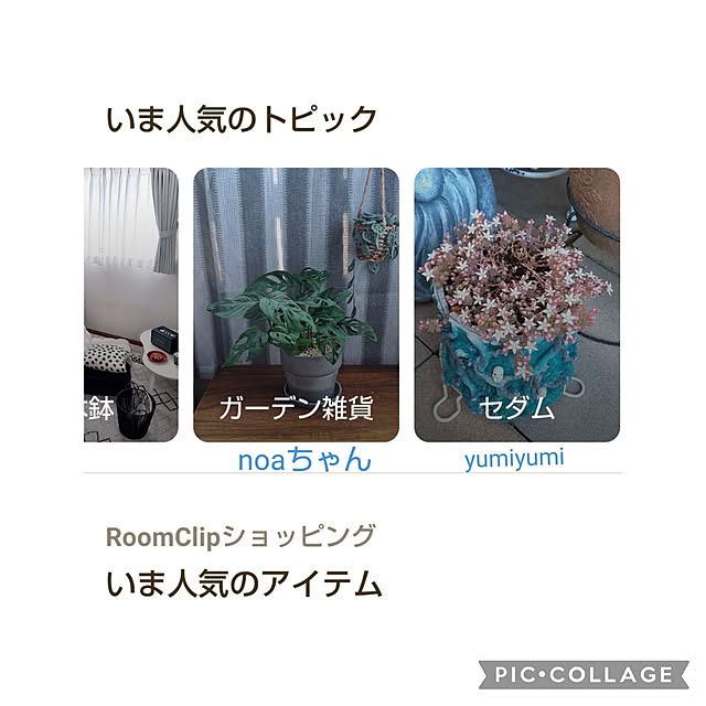 yumiyumiさんの実例写真