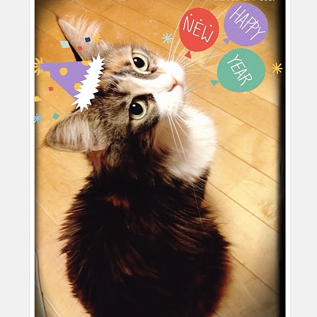 Realiser_son_reveさんの実例写真