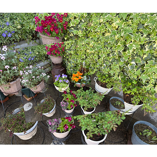 CoCo0617さんの部屋