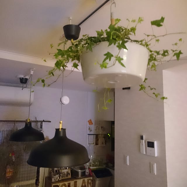 pikuminさんの実例写真