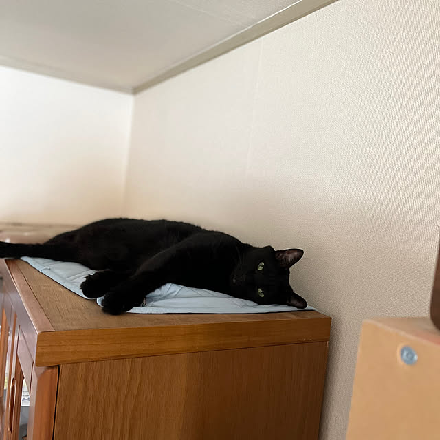 nyaさんの部屋