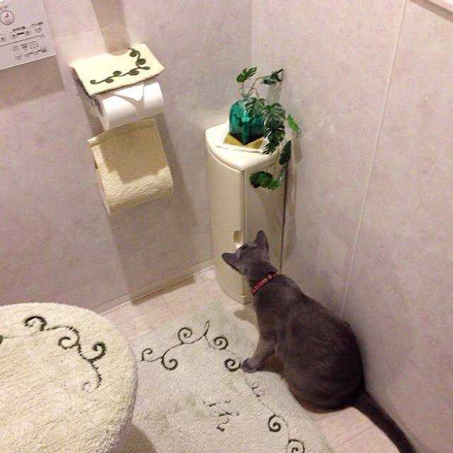 toshiさんの実例写真