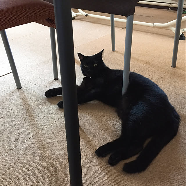 nanaさんの実例写真