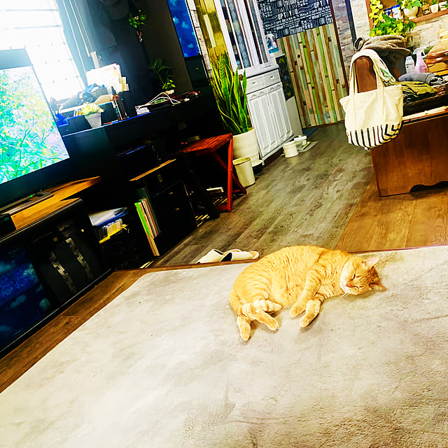 tututu0204さんの部屋