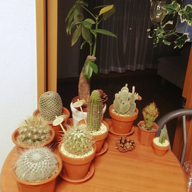 Takeさんの実例写真