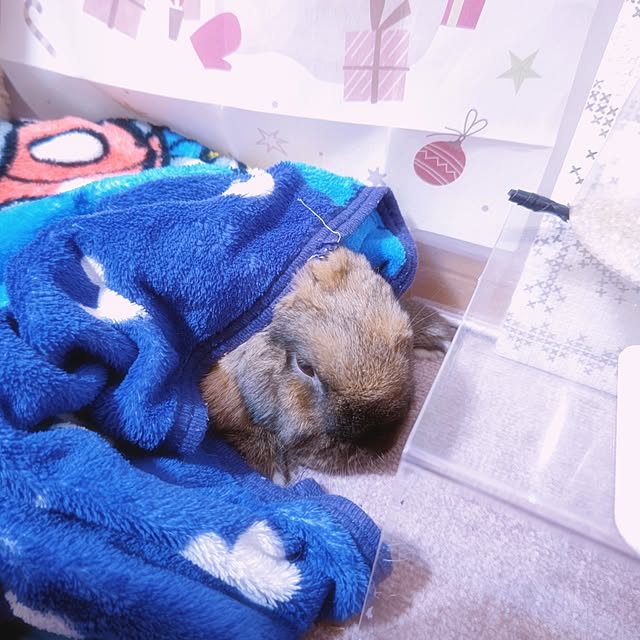 mariaさんの実例写真