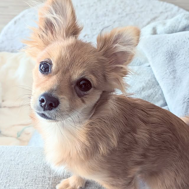 noahさんの部屋