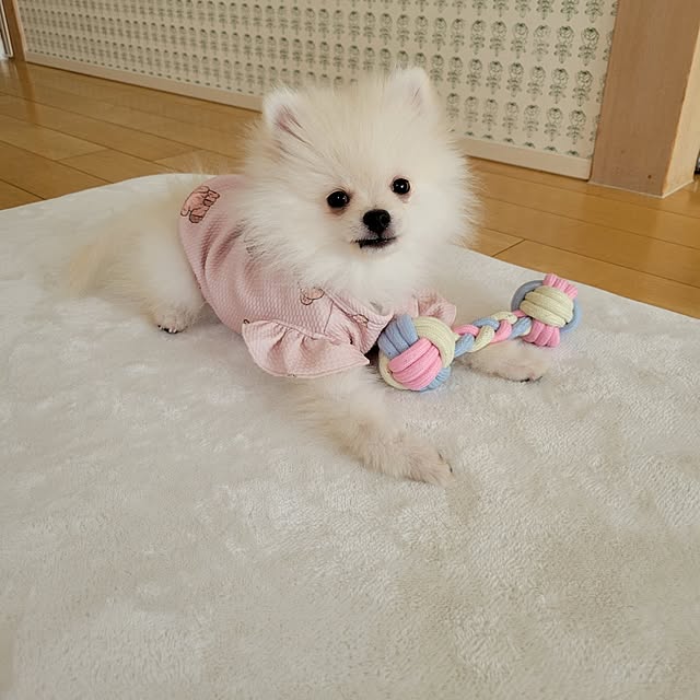 Rさんの実例写真