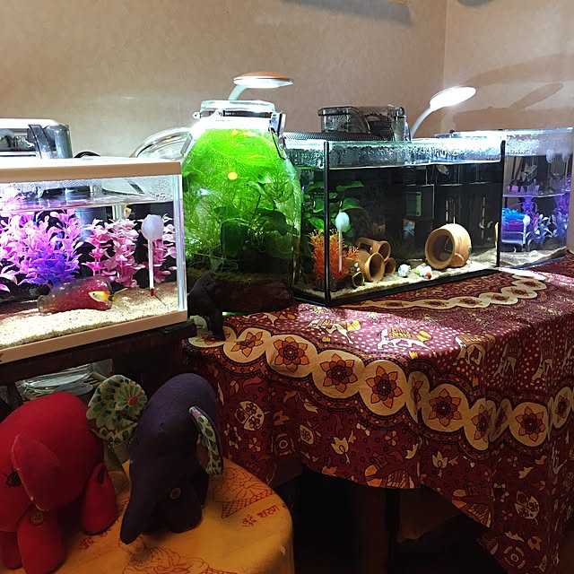 nabrat44さんの実例写真