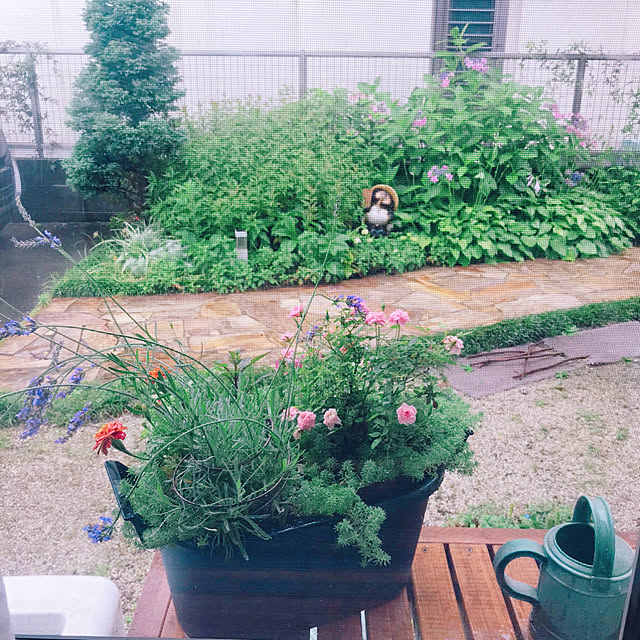 portulacaさんの実例写真