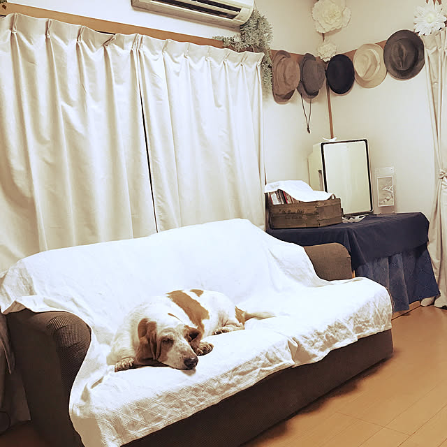 anemone551さんの実例写真