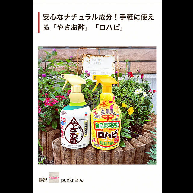 punknさんの実例写真