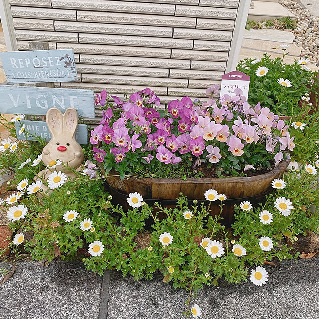 manachanさんの実例写真