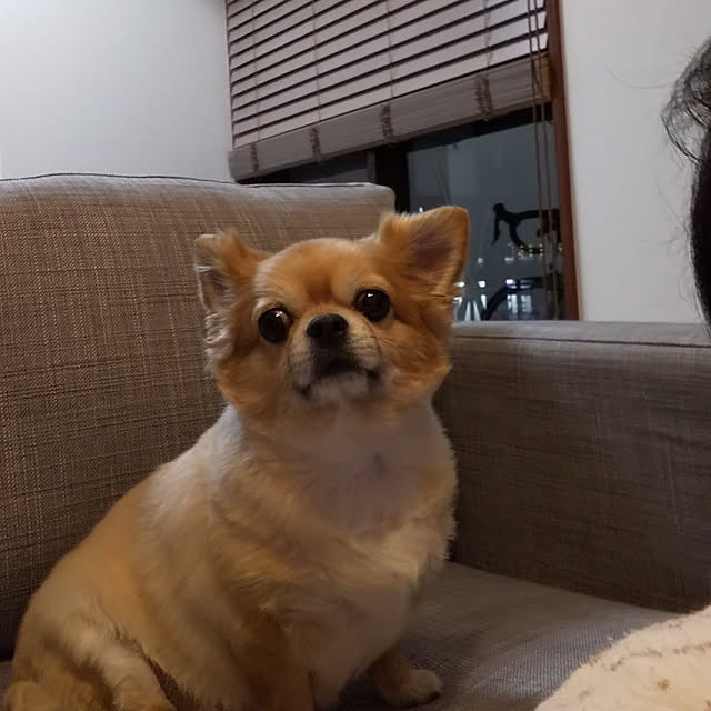 Michiyoさんの実例写真
