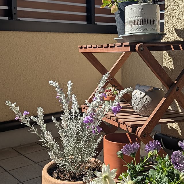 reeさんの実例写真