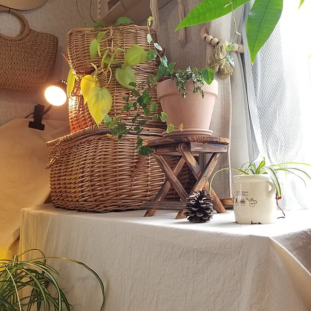 midoriさんの実例写真