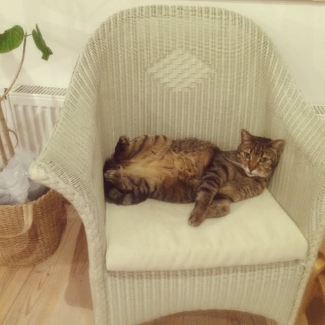 fukuさんの実例写真